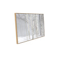 Birch Trees In Winter Canvas Wall Art