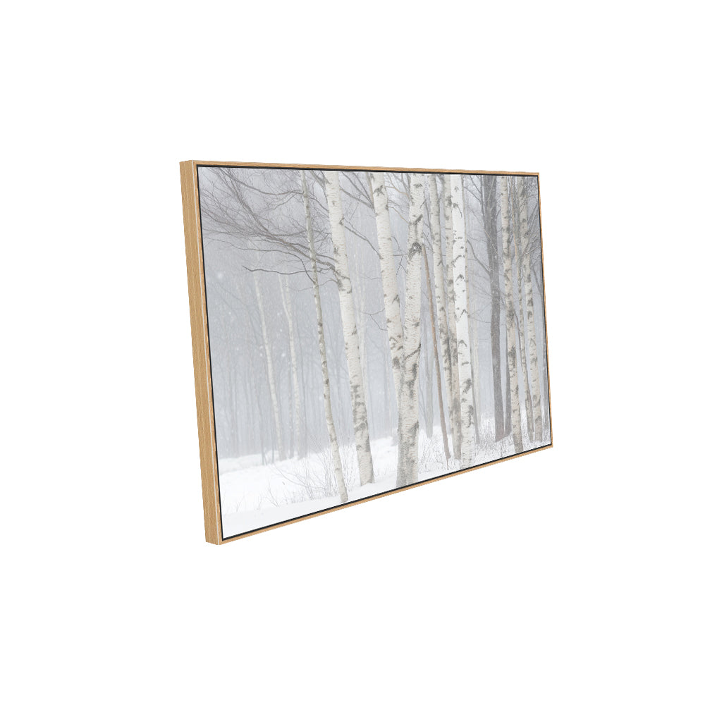 Birch Trees In Winter Canvas Wall Art