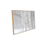 Birch Trees In Winter Canvas Wall Art