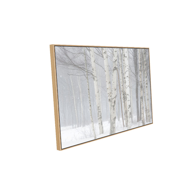 Birch Trees In Winter Canvas Wall Art