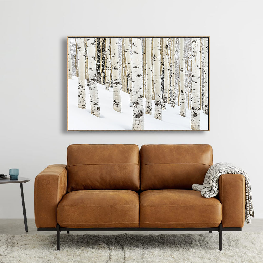 Winter Birch Forest Canvas Wall Art