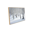 Snowy Birch Forest Canvas Wall Art