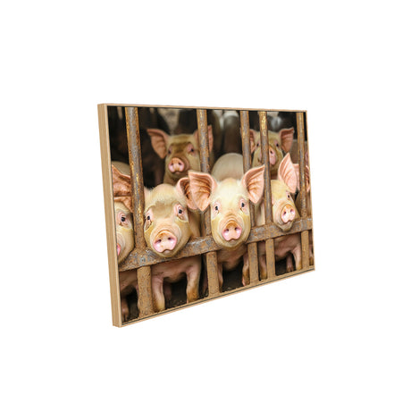 "Piglets in the Pen"-Canvas Wall Art