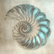 Nautilus Shell Canvas Wall Art – A Masterpiece of Nature's Elegance
