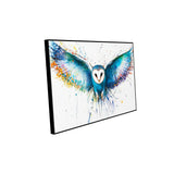 Vivid Barn Owl Canvas Wall Art