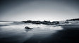 Black And White Coastal Serenity Canvas Wall Art