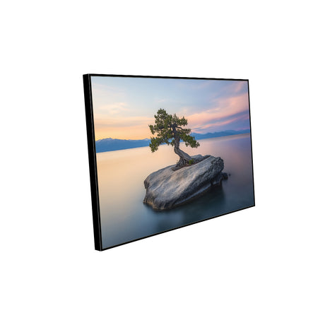 Serene Lone Tree Canvas Wall Art