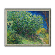 Vincent Van Gogh's Blossoming Lilacs – Vibrant Nature Canvas Wall Art