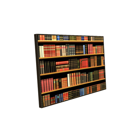 "Timeless Library" - Bookshelf Canvas Wall Art