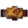 5 Piece Gold Owl Eyes Canvas Wall Art