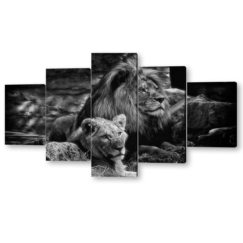 5 Piece Lion and Lioness Canvas Wall Art