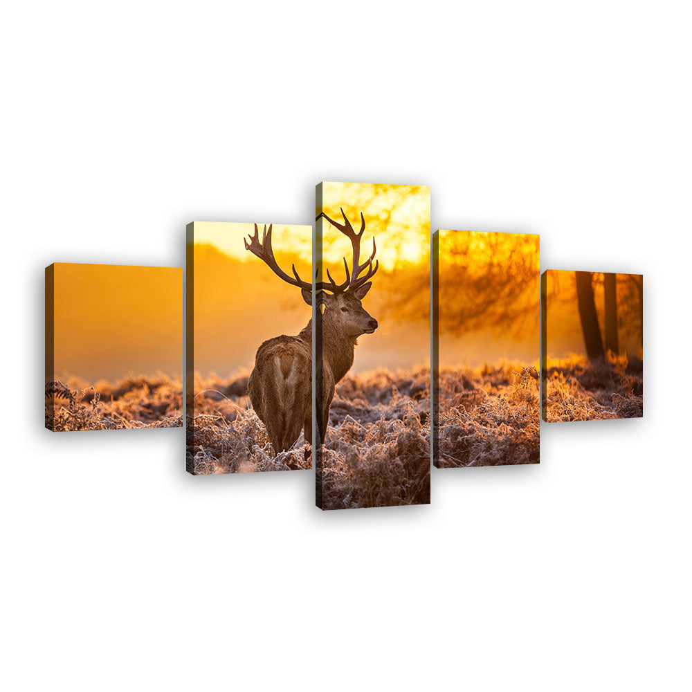 5 Piece Deer in the Sunset Canvas Wall Art