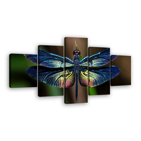 5 Piece Dragonfly Canvas Wall Art