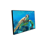 Sea Turtle Underwater Canvas Wall Art