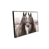 Elegant Twin Horses Canvas Wall Art