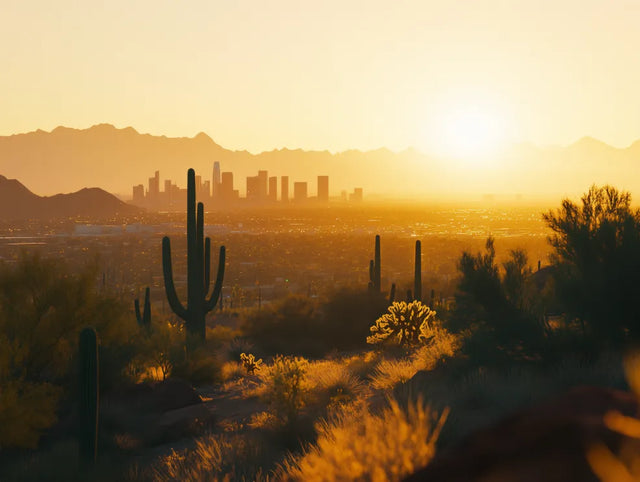 Desert Sunset Bliss: Cactus And Cityscape Canvas Wall Art