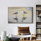 Seagulls On The Shore Canvas Wall Art