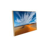 Desert Serenity Canvas Wall Art