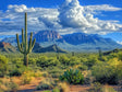 Majestic Desert Canvas Wall Art