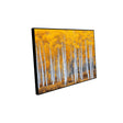  Golden Aspen Forest Canvas Wall Art