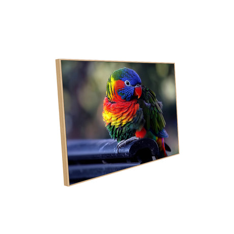 Vibrant Rainbow Lorikeet-Canvas Wall Art 