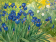 Vibrant Irises In Bloom Canvas Wall Art