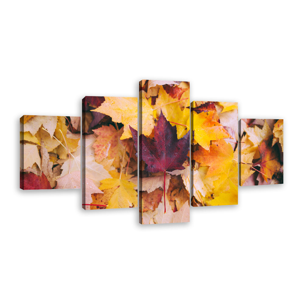 5-Piece Autumn Leaves Canvas Wall Art