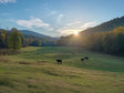 Countryside Sunrise Canvas Wall Art