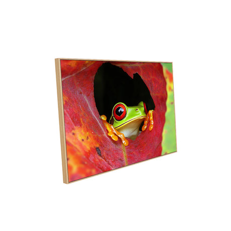 Vibrant Tree Frog Canvas Wall Art