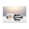 Stones and Lotus Zen Balance Canvas Wall Art