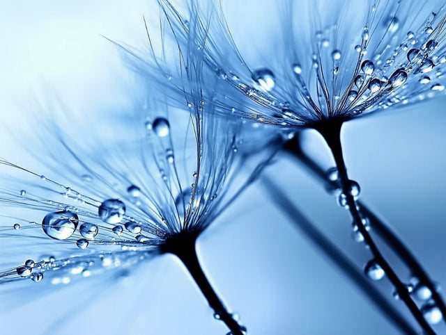Blue Serenity Canvas Wall Art