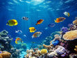 Underwater Coral Reef Canvas Wall Art