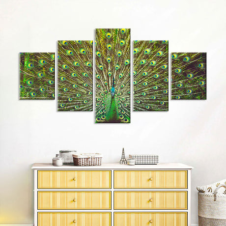 Beautiful Green Peacock Feather Canvas Wall Art