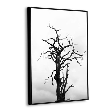 Black And White Bare Tree Canvas Wall Art