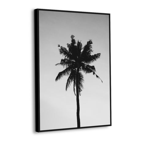 Black And White Palm Tree Canvas Wall Art