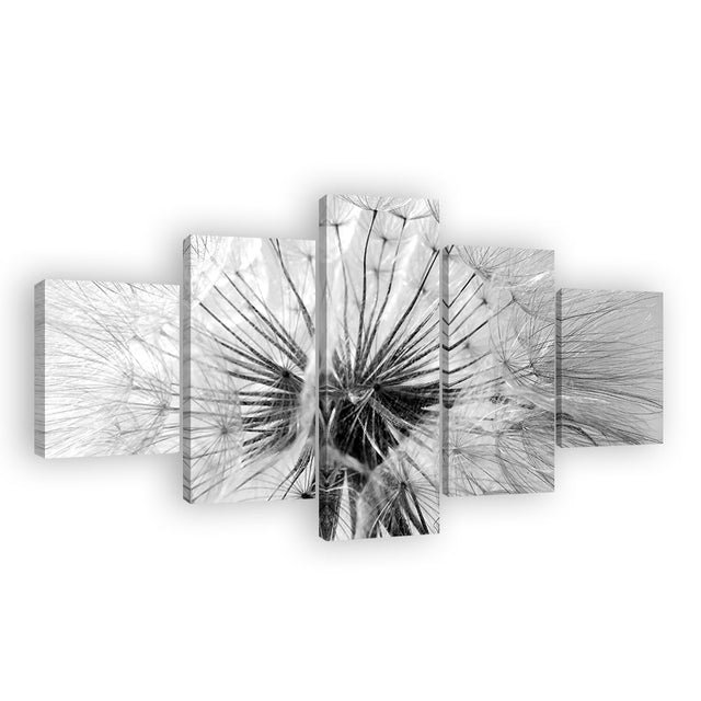 Black and White Dandelion Flower Canvas Wall Art