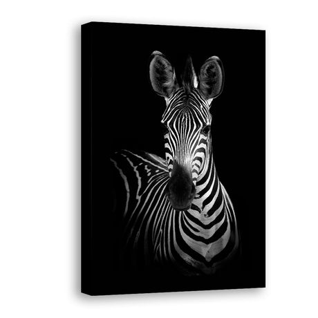 Black and White Zebra Canvas Wall Art