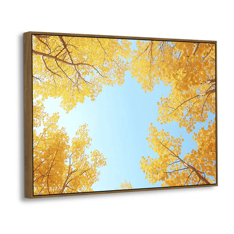 Celebrate The Charm Of Autumn With This Stunning Upward View