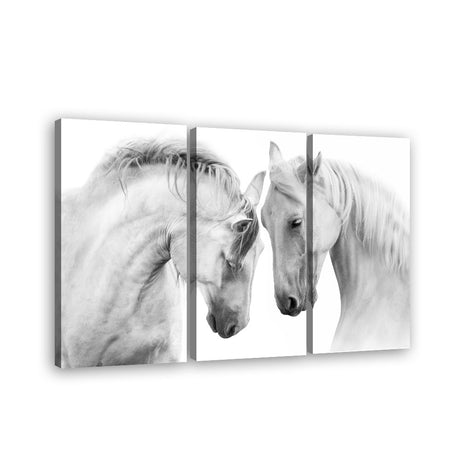 Elegant White Horse Canvas Wall Art