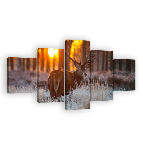 Deer Elk in Autumn Forest Sunset Canvas Wall Art