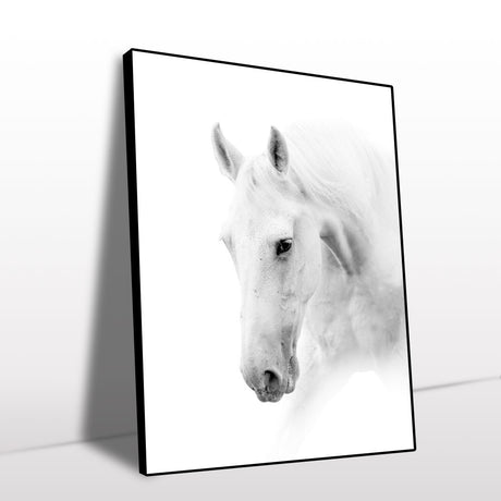 Elegant White Horse Canvas Wall Art