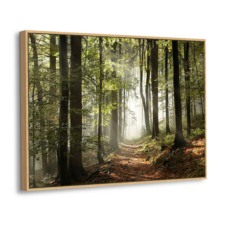 Enchanted Forest - Serene Morning Path Canvas Wall Art
