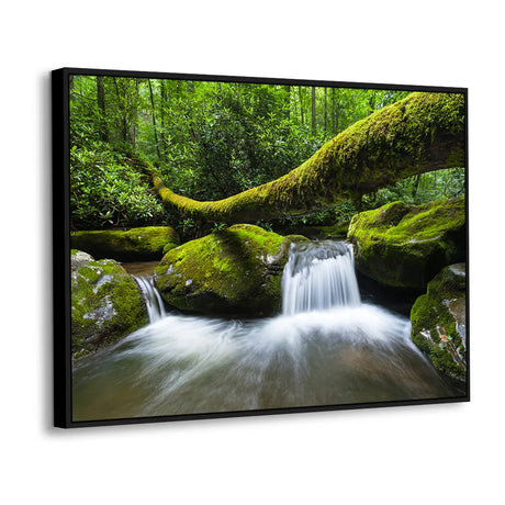 Enchanted Forest Creek Canvas Wall Art