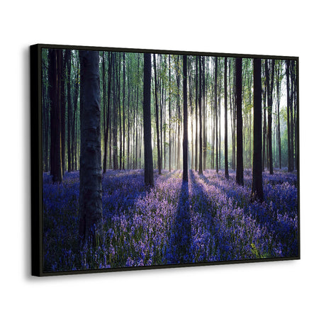 Enchanted Forest Of Bluebells Canvas Wall Art