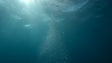 Underwater Bubbles Canvas Wall Art