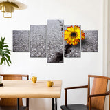 "Flower Growing Through Asphalt" Canvas Wall Art