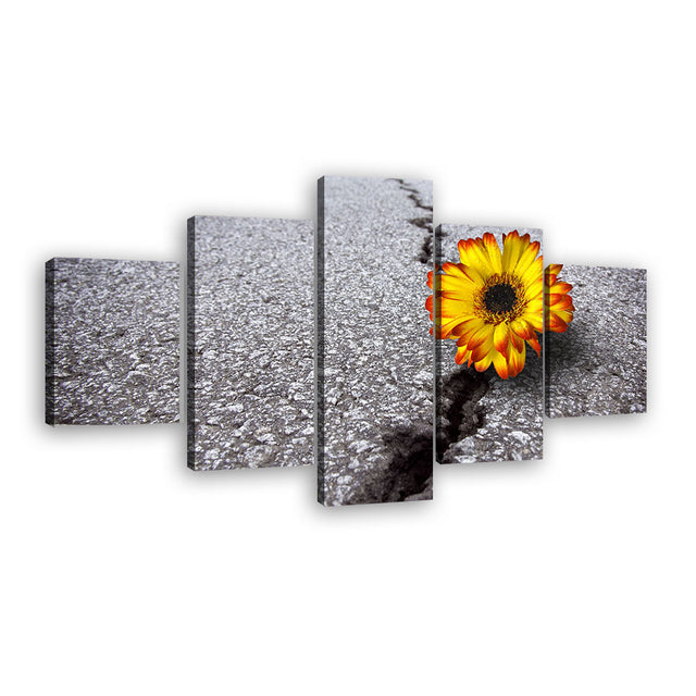 "Flower Growing Through Asphalt" Canvas Wall Art