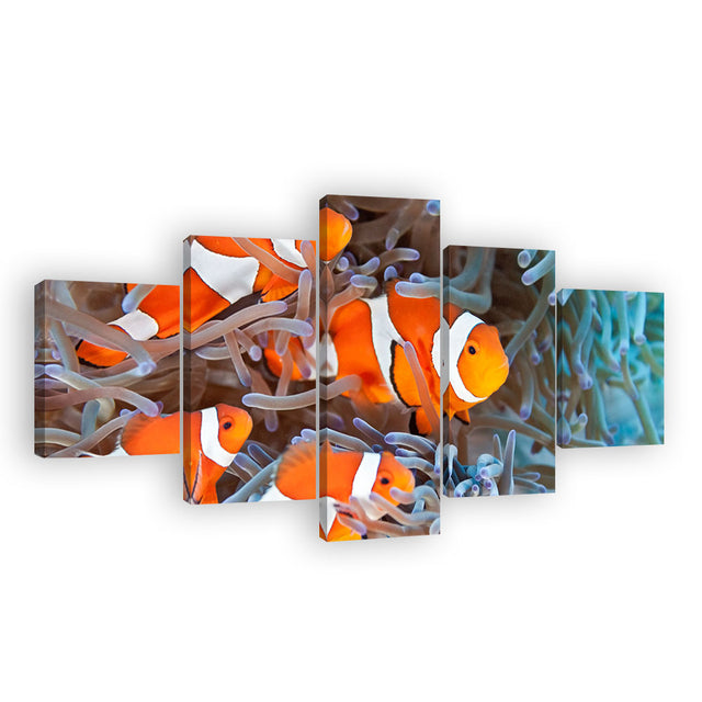 Multi-Panel Clownfish Canvas Wall Art