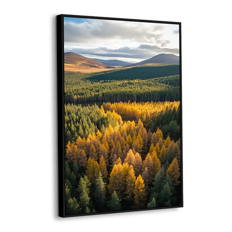 Golden Forest Valley Canvas Wall Art