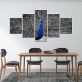 Gray Tailed Blue Peacock Canvas Wall Art